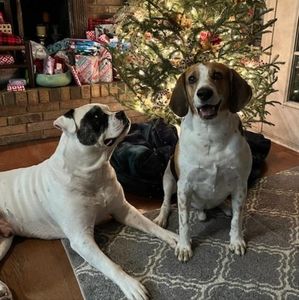 Welcome to my closet 🌿🌹